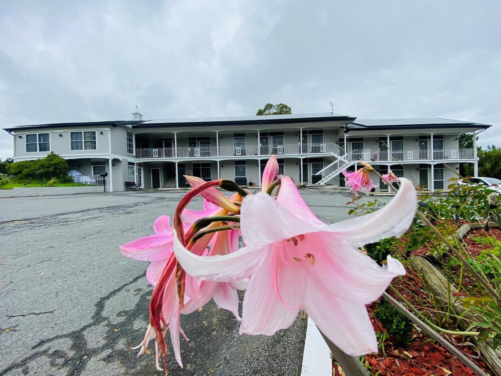 Colonial Lodge Motor Inn Яс Екстериор снимка
